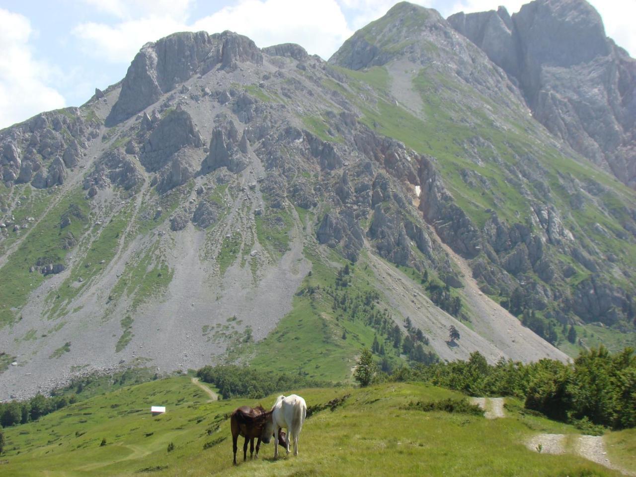 Komovi Eko Katun Villa Andrijevica Esterno foto