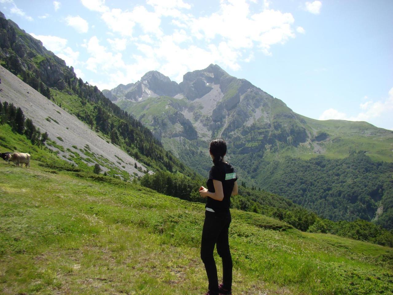 Komovi Eko Katun Villa Andrijevica Esterno foto